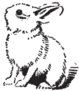 pagenumber_ebook=29,pagenumber_book=21