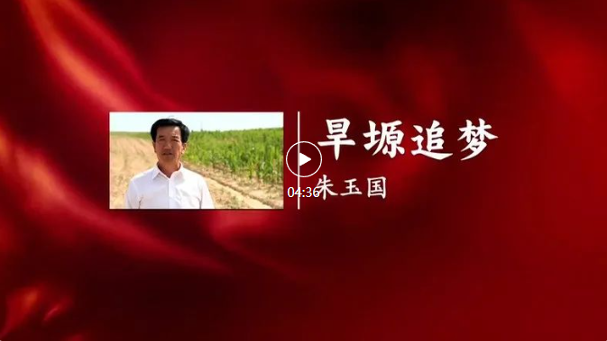 image image.png?v=1763585112298