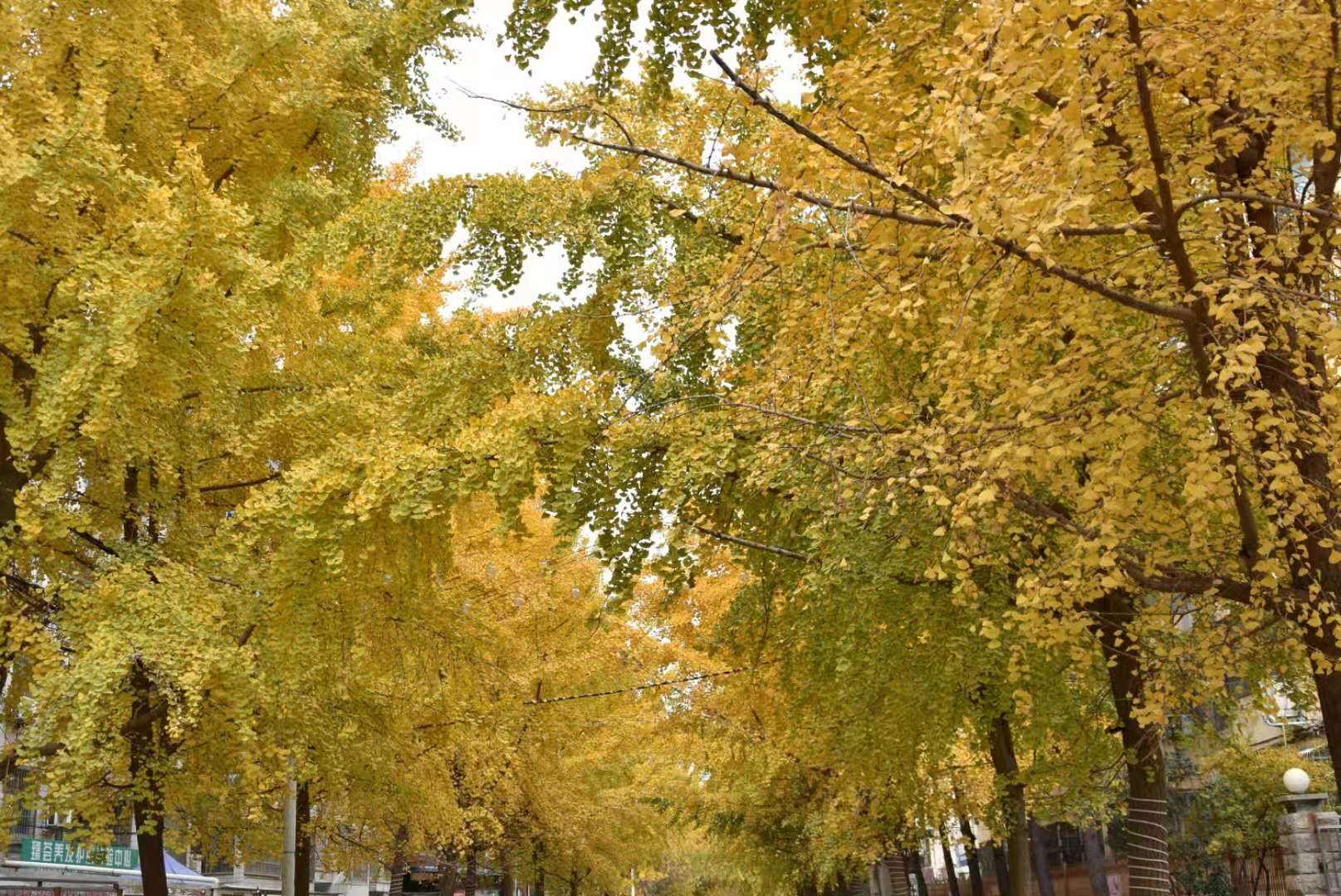 83a3dfd698e98aa6f5e737e6c3bb61f 83a3dfd698e98aa6f5e737e6c3bb61f.jpg