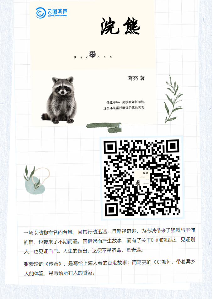 image.png?v=1751679070871