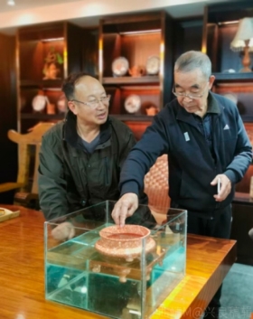 pagenumber_ebook=119,pagenumber_book=110