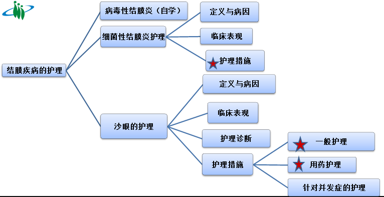 结膜炎结构图.png
