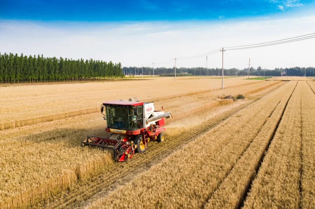 微信图片_20211128112900