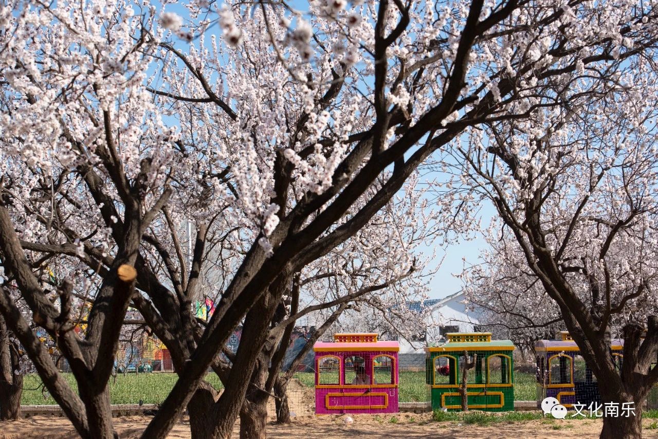 70f31efb6fc5ae2f875c3f779c3b74b8 70f31efb6fc5ae2f875c3f779c3b74b8.jpg