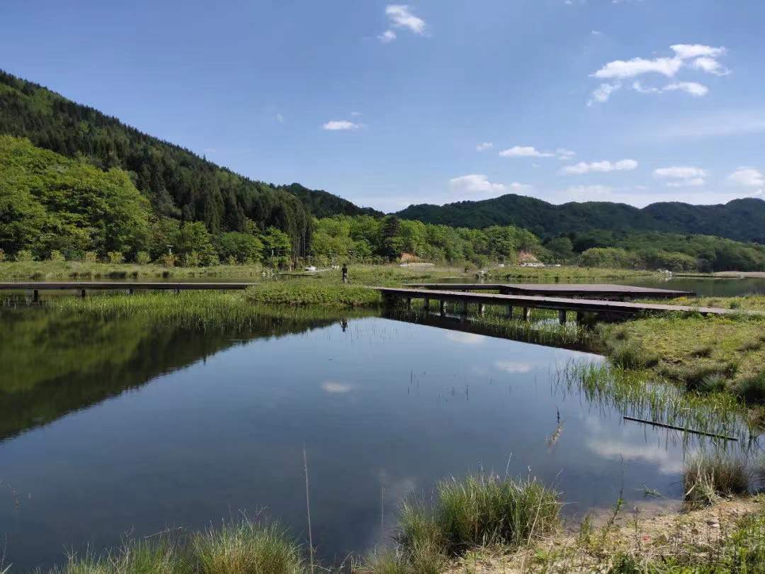 2d3faf4ad6b8ca7589283d2986a1f00 2d3faf4ad6b8ca7589283d2986a1f00.jpg?v=1762743078123