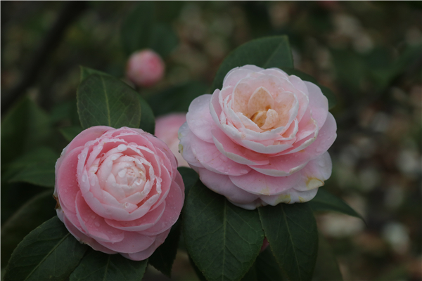 IMG_6363 IMG_6363.jpg