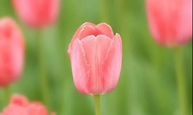 微信图片_20210329153642 微信图片_20210329153642.jpg