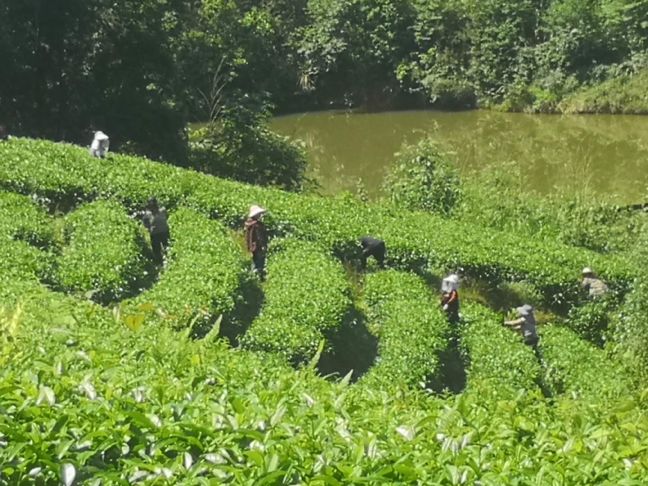 2 2.jpg?v=1765897879767