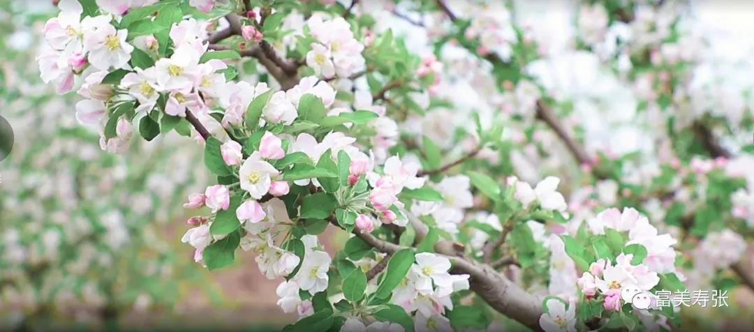 微信图片_20210409111204 微信图片_20210409111204.jpg