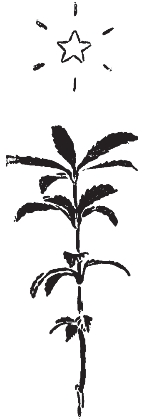 pagenumber_ebook=171,pagenumber_book=163