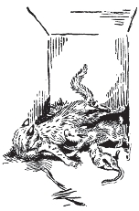 pagenumber_ebook=31,pagenumber_book=23