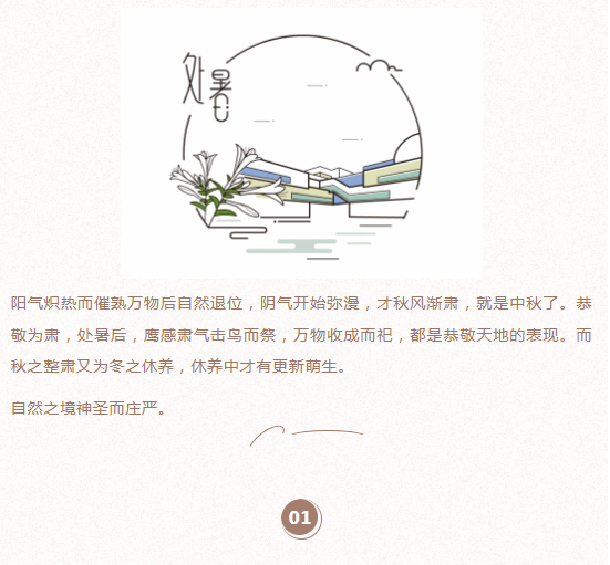 image.png?v=1750237167764