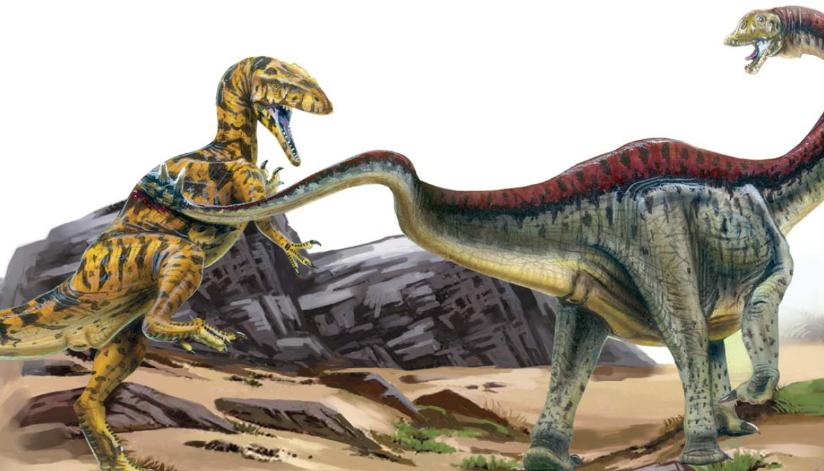 pagenumber_ebook=91,pagenumber_book=80