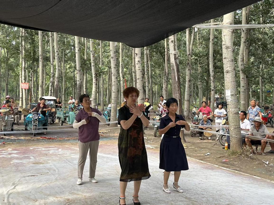 【莘县】大王寨镇文艺活动