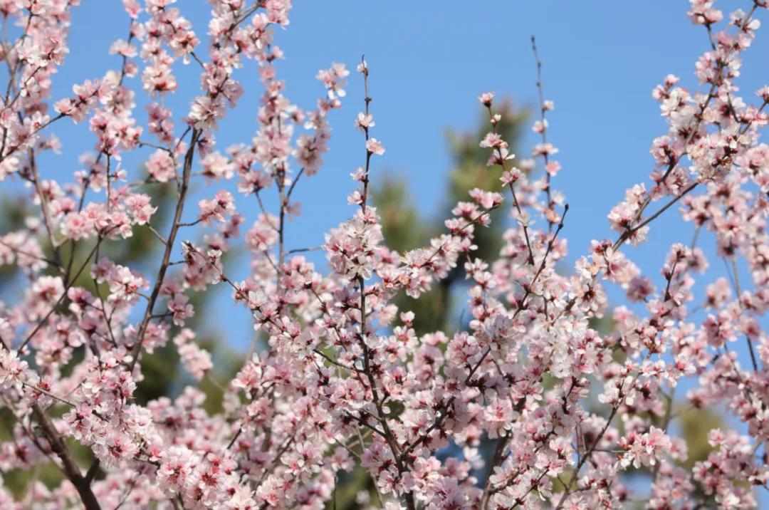 春分3、.jpg?v=1751370914038