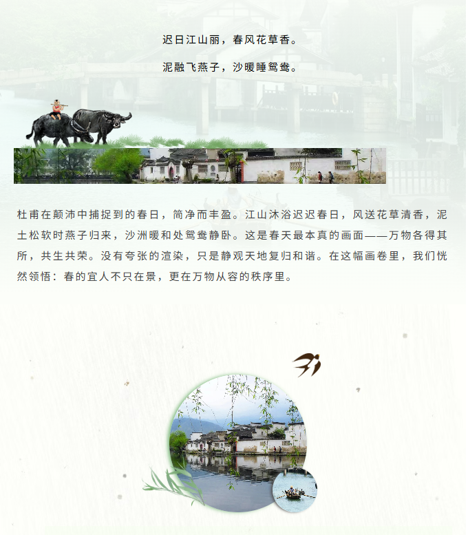 image.png?v=1774110454134