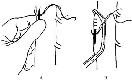 pagenumber_ebook=578,pagenumber_book=563