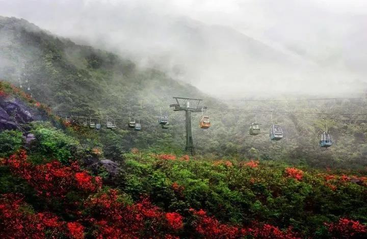 微信图片_20200712001727 微信图片_20200712001727.jpg