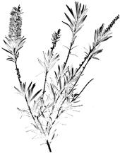 pagenumber_ebook=82,pagenumber_book=82