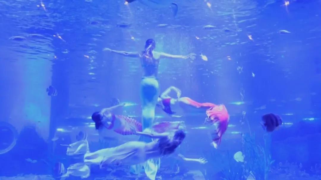 微信图片_20210910172519 微信图片_20210910172519.jpg