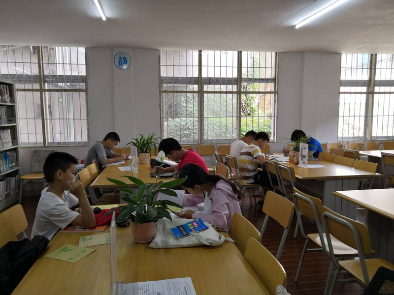 001 001.jpg?v=1762795619085