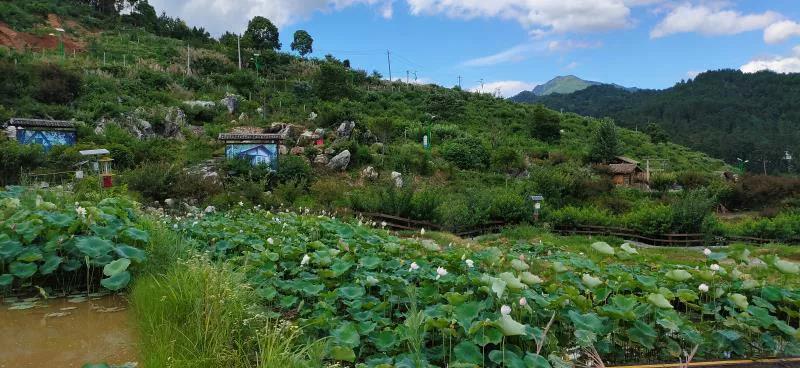 微信图片_20200713203223 微信图片_20200713203223.jpg