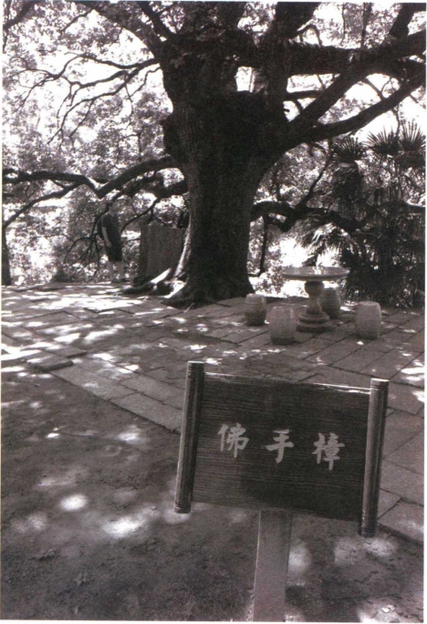 pagenumber_ebook=206,pagenumber_book=199