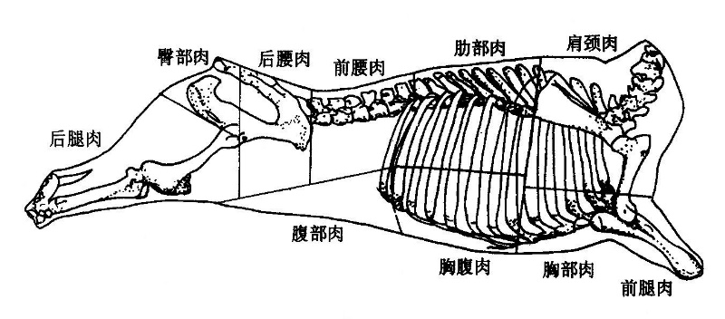 2,美国牛胴体的分割方法