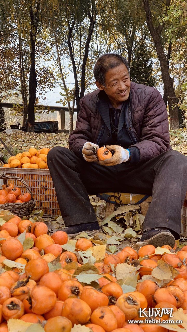 微信图片_20201213104959 微信图片_20201213104959.jpg