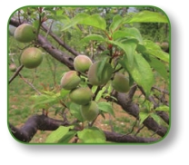 pagenumber_ebook=295,pagenumber_book=282