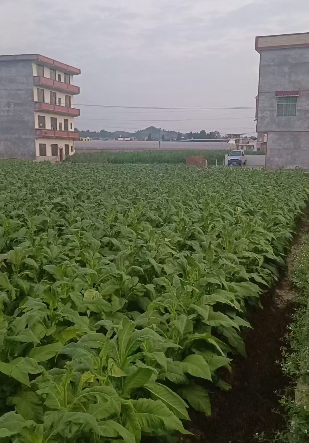 图片 9