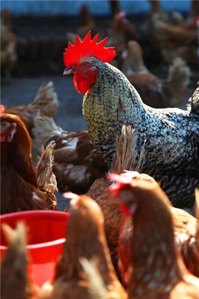 微信图片_20200419092550