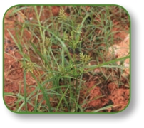 pagenumber_ebook=141,pagenumber_book=128