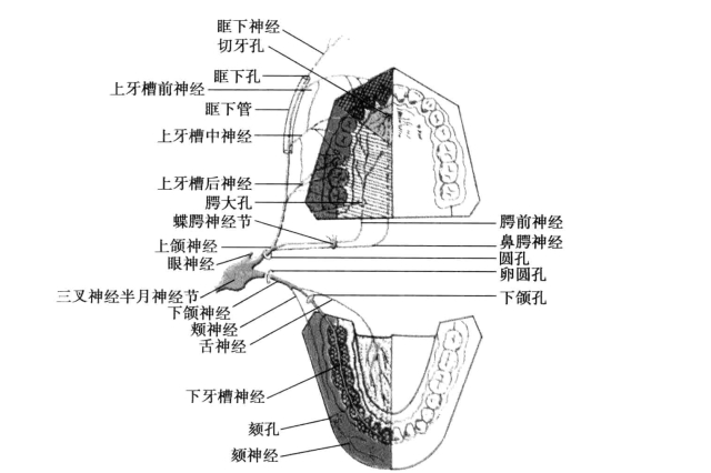 pagenumber_ebook=95,pagenumber_book=86
