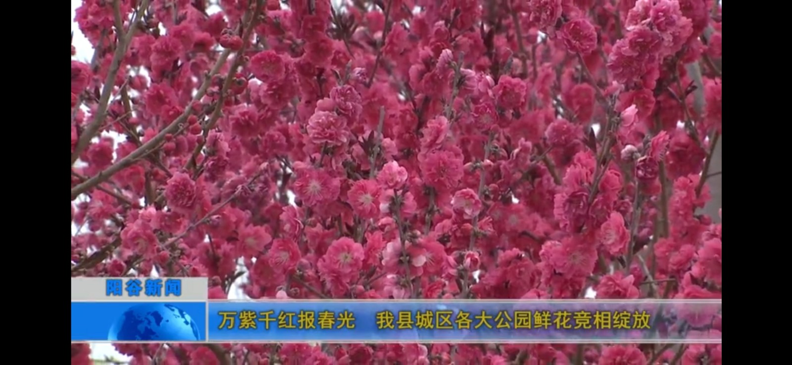 微信图片_202104070923002