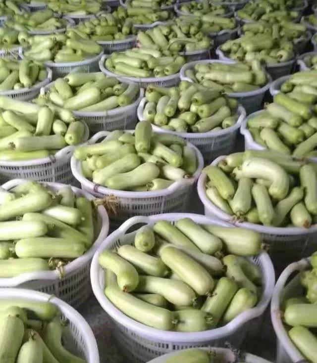 微信图片_20200712020523 微信图片_20200712020523.jpg