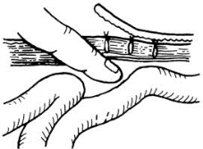 pagenumber_ebook=212,pagenumber_book=197