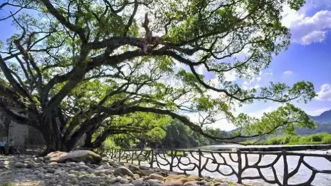 image005 image005.jpg