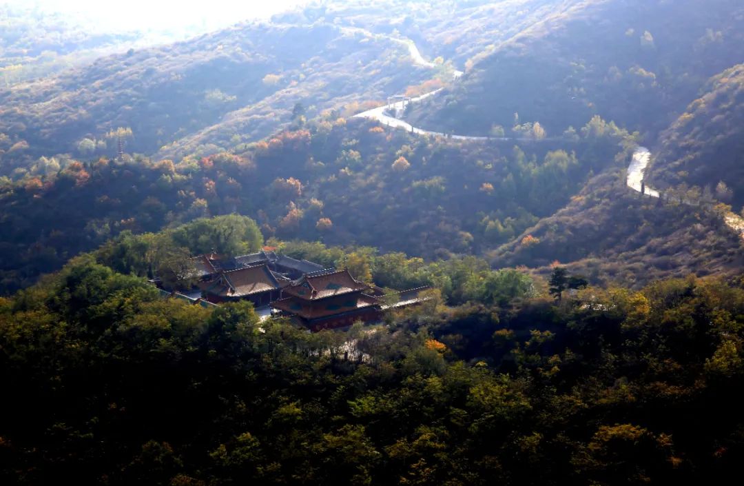 微信图片_20220804160952 - 副本