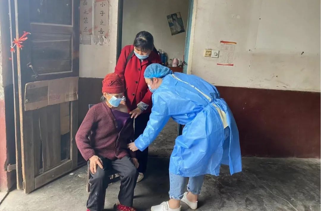 5 5.jpg?v=1765898153930