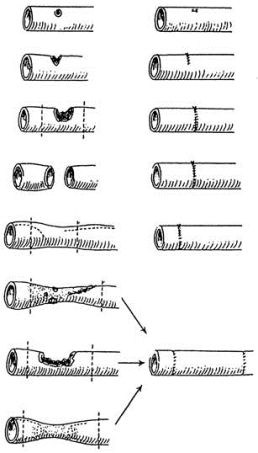 pagenumber_ebook=259,pagenumber_book=244