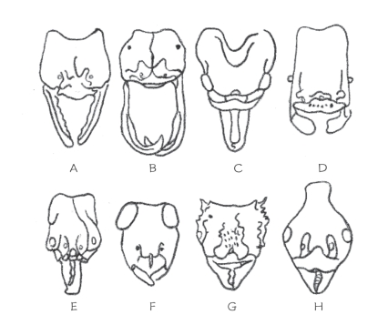 pagenumber_ebook=238,pagenumber_book=222