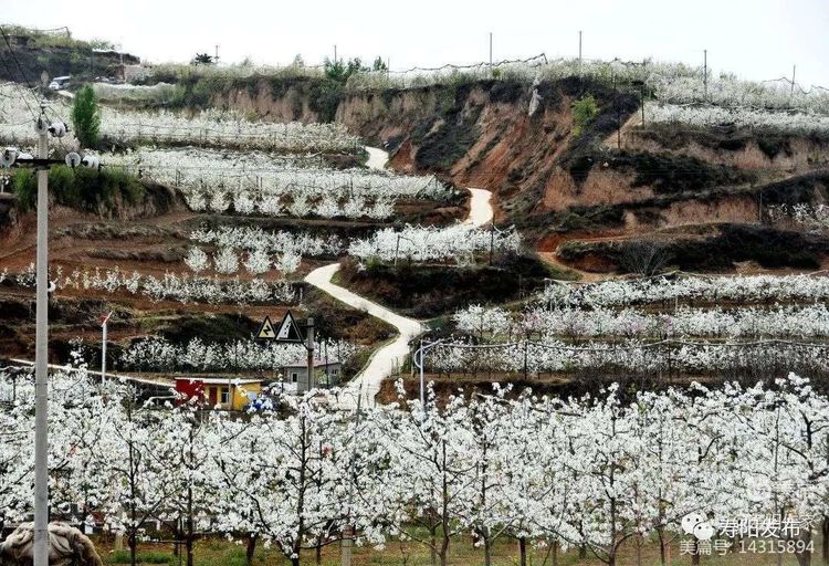 微信图片_20220531102346 微信图片_20220531102346.jpg