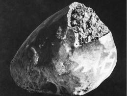 pagenumber_ebook=193,pagenumber_book=183