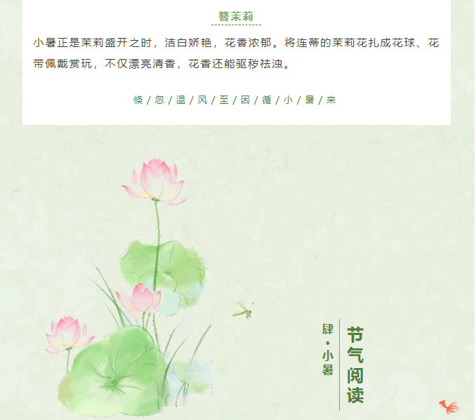 image.png?v=1751535304656
