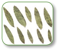 pagenumber_ebook=84,pagenumber_book=71