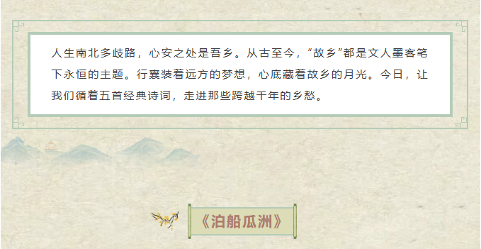 image.png?v=1766278433544