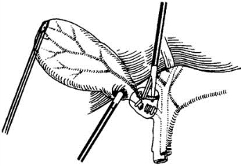 pagenumber_ebook=458,pagenumber_book=443