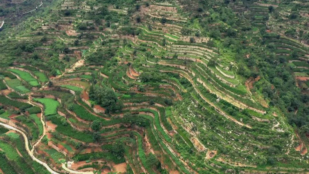 微信图片_20211102113024