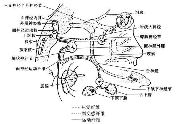 pagenumber_ebook=96,pagenumber_book=87
